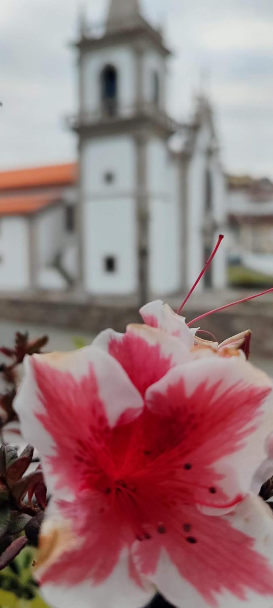 Donna Nega Alojamento Local Caminha Buitenkant foto